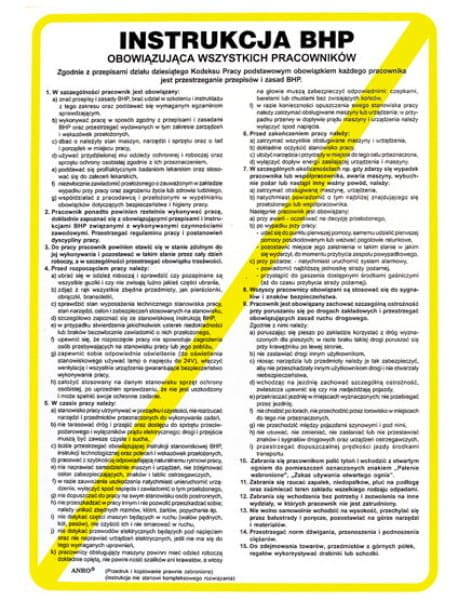 Zestaw BHP dla Firm MAŁY: Apteczka K-10 + Gaśnica Proszkowa 2kg ABC + Instrukcje - zdjęcie 5