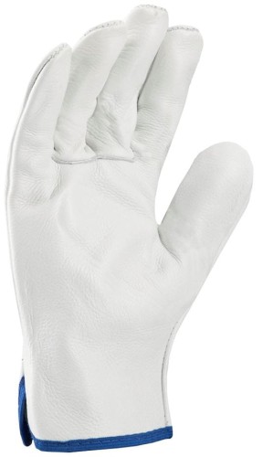 Rękawice Robocze Skórzane INDY ARDON Skóra Licowa EN388 - zdjęcie 2