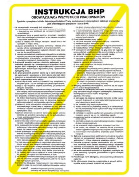 Znak Instr.BHP Obow.Wszyst.Pracow. Z-IB1-P-250x350 - zdjęcie 2